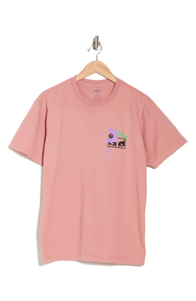 Shop Obey Want Chaos Need Peace Graphic T-shirt In Pink Amethyst