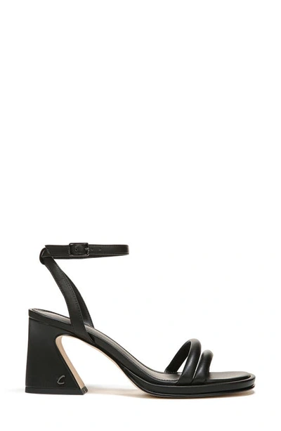 Shop Circus By Sam Edelman Hartlie Ankle Strap Sandal In Black