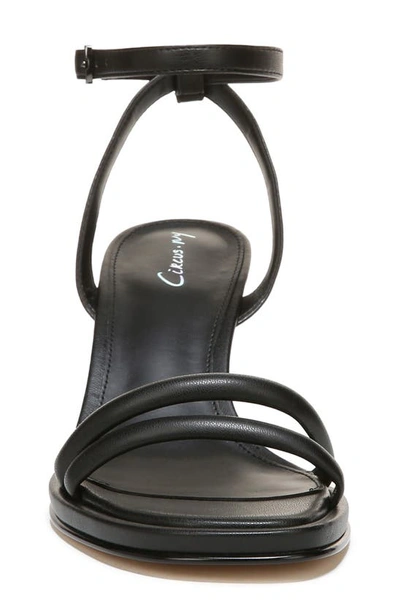Circus By Sam Edelman Hartlie Ankle Strap Sandal In Black
