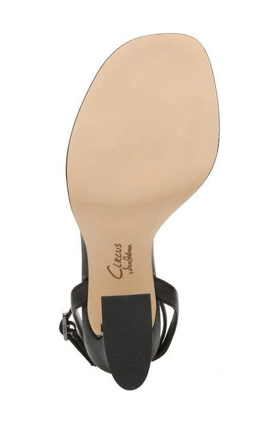 Circus By Sam Edelman Hartlie Ankle Strap Sandal In Black