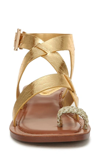 Franco Sarto Ina Toe Loop Sandal In Gold