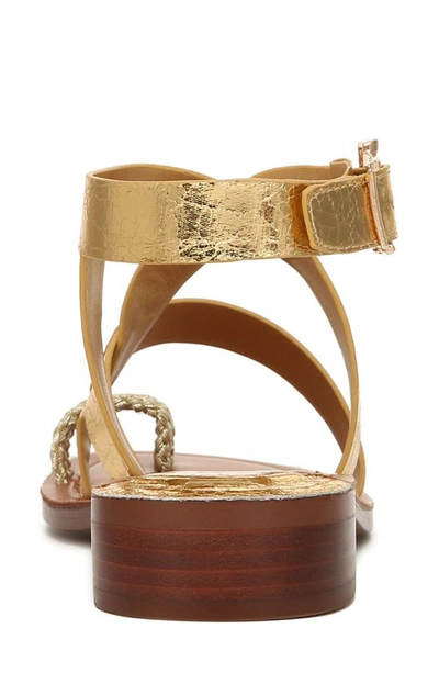 Franco Sarto Ina Toe Loop Sandal In Gold
