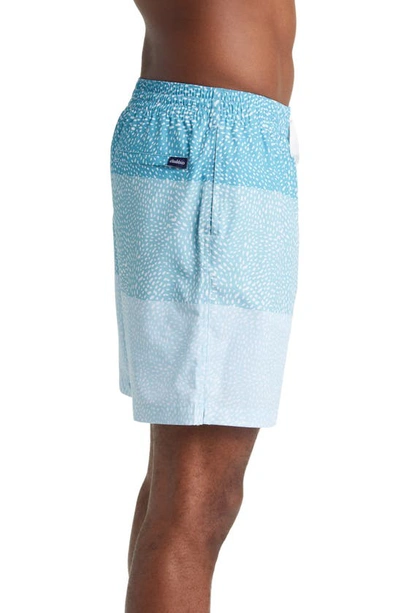Shop Chubbies Classic 7-inch Swim Trunks In The Whale Sharks