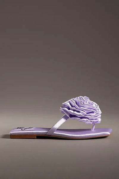 Shop Jeffrey Campbell 3d Flower Sandals In Purple