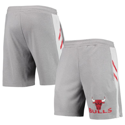 Shop Concepts Sport Gray Chicago Bulls Stature Shorts