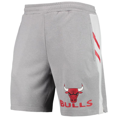 Shop Concepts Sport Gray Chicago Bulls Stature Shorts