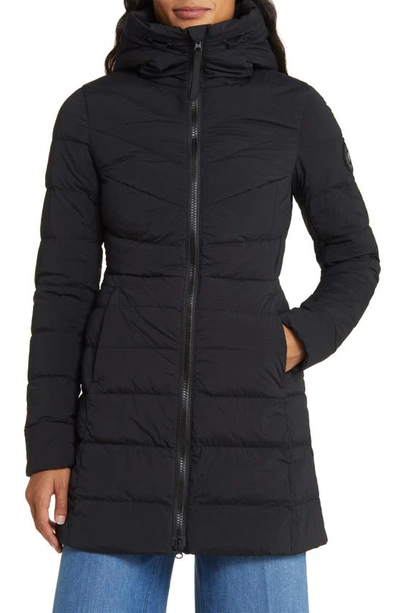 Canada Goose Clair Hooded Puffer Coat In Black | ModeSens