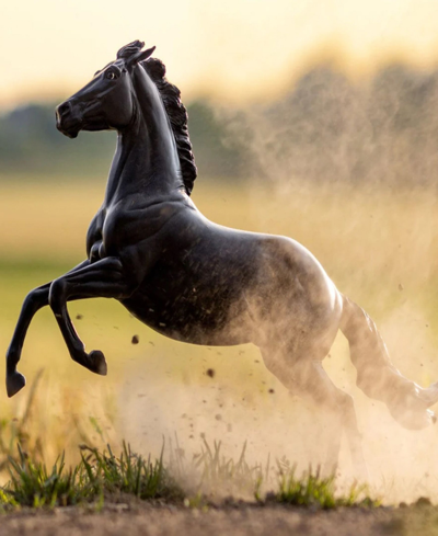 Breyer Horses Amberley Snyder's Atp Power In Multi