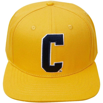 Shop Pro Standard Gold Coppin State Eagles Evergreen C Snapback Hat