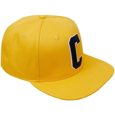 Shop Pro Standard Gold Coppin State Eagles Evergreen C Snapback Hat