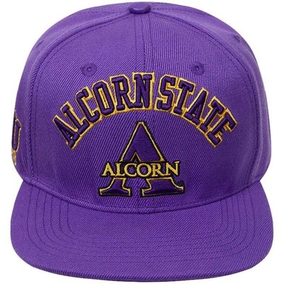 Shop Pro Standard Purple Alcorn State Braves Evergreen Arch Over Logo Snapback Hat