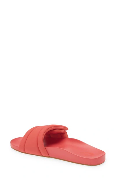 Olukai Sunbeam Slide Sandal In Lehua Flower / Lehua Flower