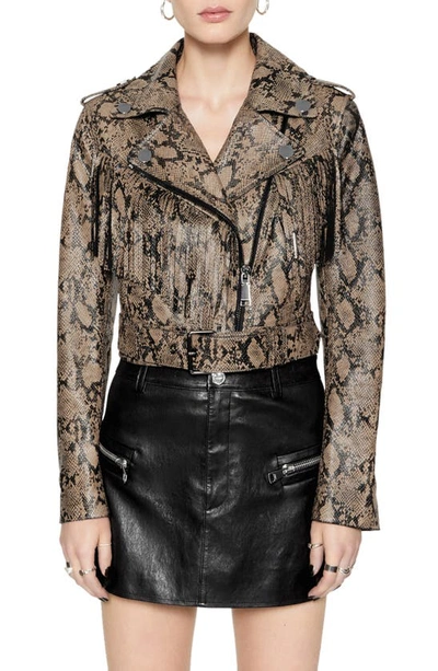 Shop Rebecca Minkoff Janis Fringe Belted Leather Moto Jacket In Python Printed Foil