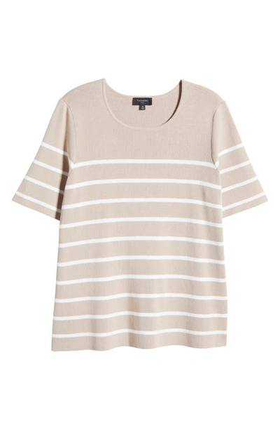 Shop Tahari Stripe Short Sleeve Sweater In Sand Ivory