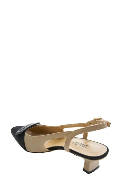 Vaneli Tady Pointed Toe Slingback Pump In Pudding