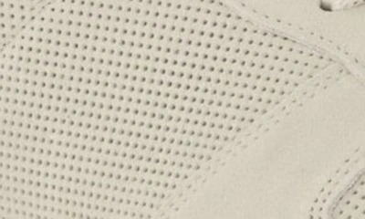 Dune London Trilogy Sneaker In Off White