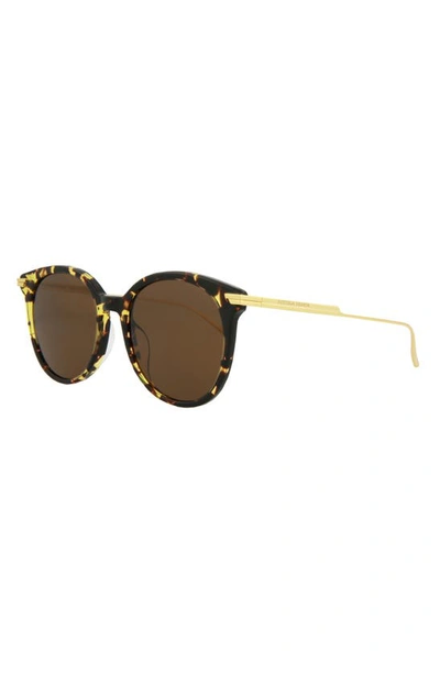 Shop Bottega Veneta 54mm Round Sunglasses In Havana Gold Brown
