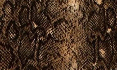 Shop Ganni Snakeskin Print Belted Coat In Snake Starfish