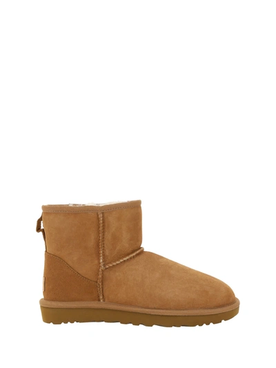 Shop Ugg Mini Boots In Chestnut