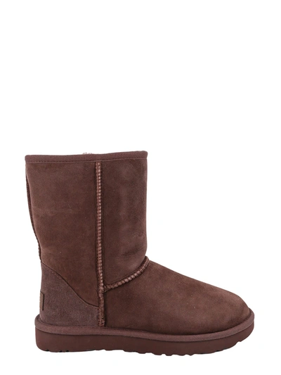 Shop Ugg Classic Short Ankle Boots In Brown