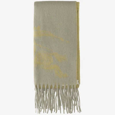 Shop Burberry Wool Blend Scarf With Ekd In Red