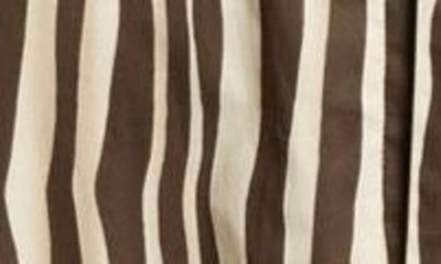 Shop Max Mara Pomelia Wavy Stripe Cotton Voile Shirtdress In Dark Brown