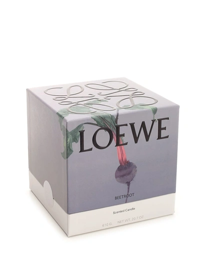 Shop Loewe Beet Essence Scented M Candle In Brown