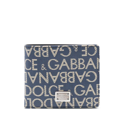 Shop Dolce & Gabbana Wallets In Blue/neutrals