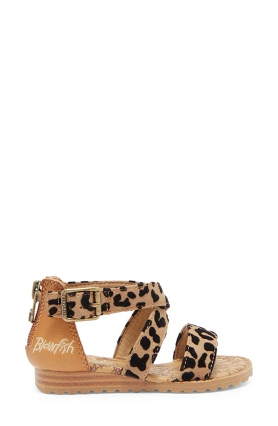 Shop Blowfish Footwear Kids' Aida Sandal In Bee Honey/ Sahara Leopard