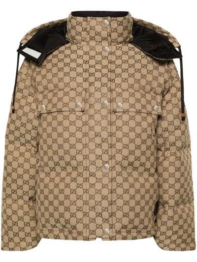 Shop Gucci Padded Jacket In Brown