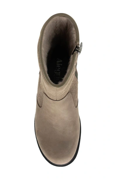 Alegria By Pg Lite Chalet Lug Sole Bootie In Taupe