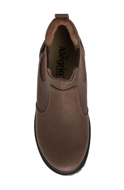 Alegria By Pg Lite Rowen Waterproof Chelsea Boot In Cocoa