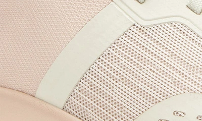 Shop Alegria By Pg Lite Rok N' Roll Sneaker In Misty Rose