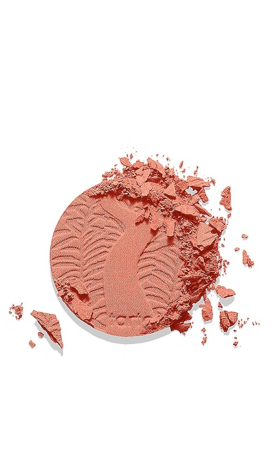 AMAZONIAN CLAY 12-HOUR BLUSH 腮红