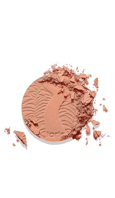 Tarte Amazonian Clay 12-hour Blush In Ç™½æ¡ƒ