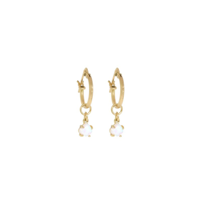 Shop Ayou Jewelry Dana Point Hoops In Gold