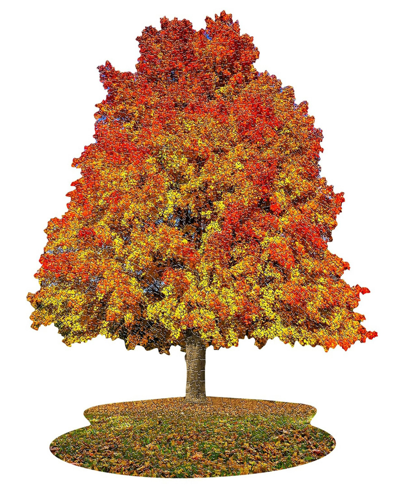 Madd Capp Games I Am Sugar Maple Jigsaw Puzzle In Multi