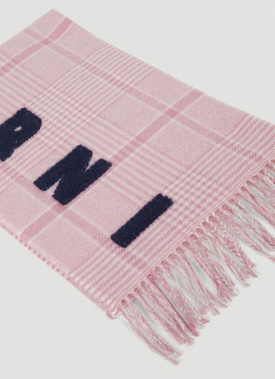 Shop Marni Women Checked Wool Scarf In Pink