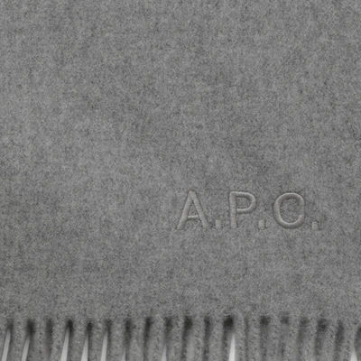 Shop Apc A.p.c. Ambroise Brodée Grey Virgin Wool Scarf