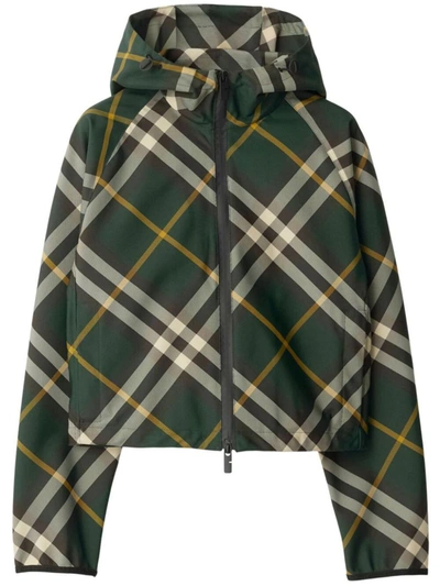 Shop Burberry Crop Check Jacket Clothing In Green