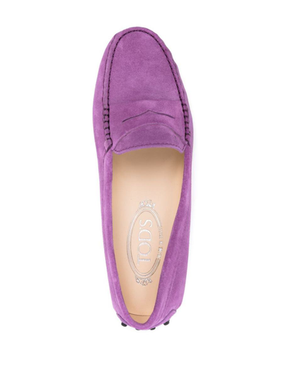 Tod's Round Toe Suede Loafers With Penny Strap In Pink & Purple