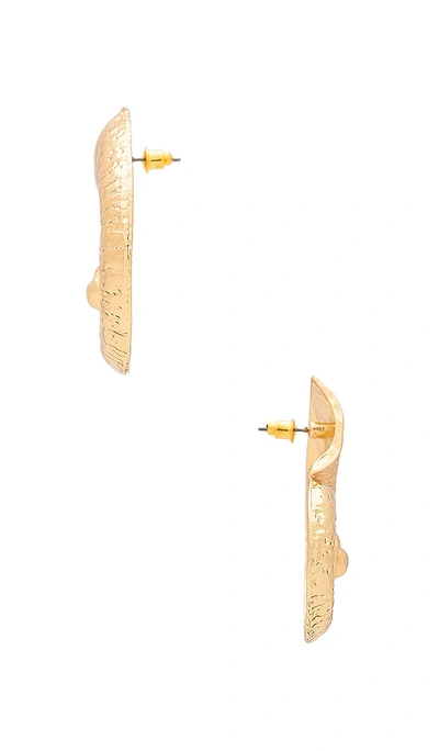 8 Other Reasons Shell Earring In É‡‘è‰²