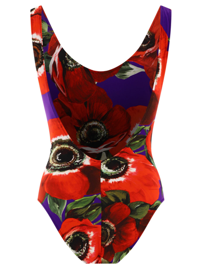 Shop Dolce & Gabbana Racing Swimsuit With Anemone Print