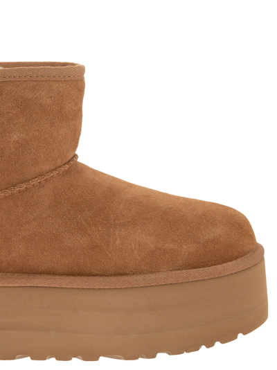 Ugg 'classic Mini Platform' Beige Ankle Boots With Platform