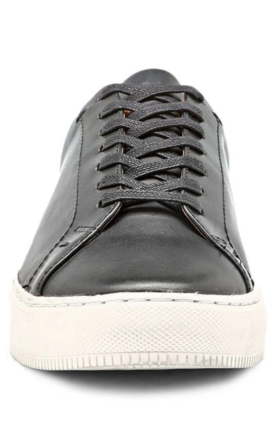 Frye Astor Sneaker In Black - Toga