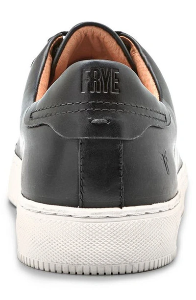 Frye Astor Sneaker In Black - Toga