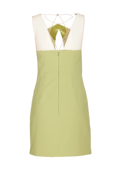 Shop Elisabetta Franchi Dresses In Green