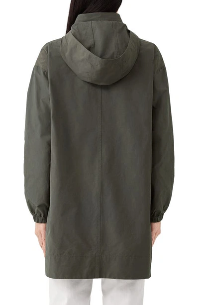 Shop Eileen Fisher Stand Collar Hidden Hood Organic Cotton Blend Coat In Grove