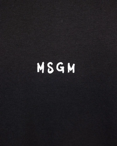 Shop Msgm T-shirts In Black