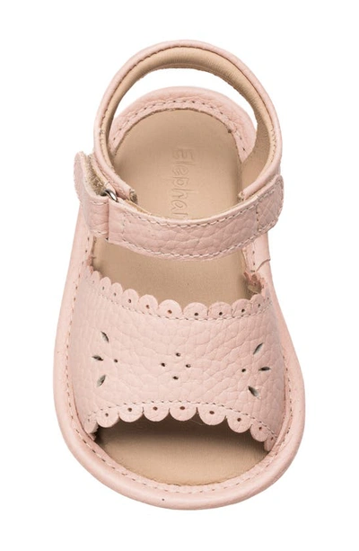 Elephantito Flower Crib Shoe Sandal In Pink